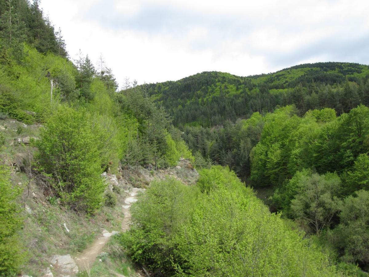 Hotel Deyanira Gorno Dryanovo Zewnętrze zdjęcie